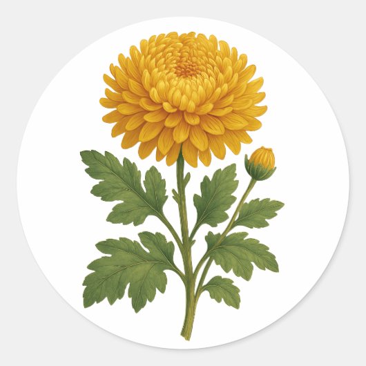 Vintage Chrysanthemum sticker - round (Devant)