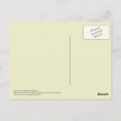 Vintage cichorei botanisch briefkaart (Achterkant)