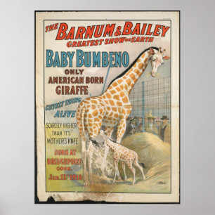Vintage: circus Barnum & Bailey - Poster