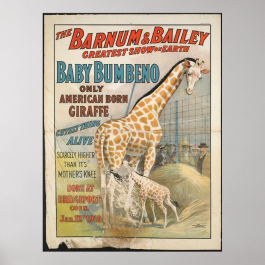 Vintage: circus Barnum & Bailey - Poster (Voorkant)
