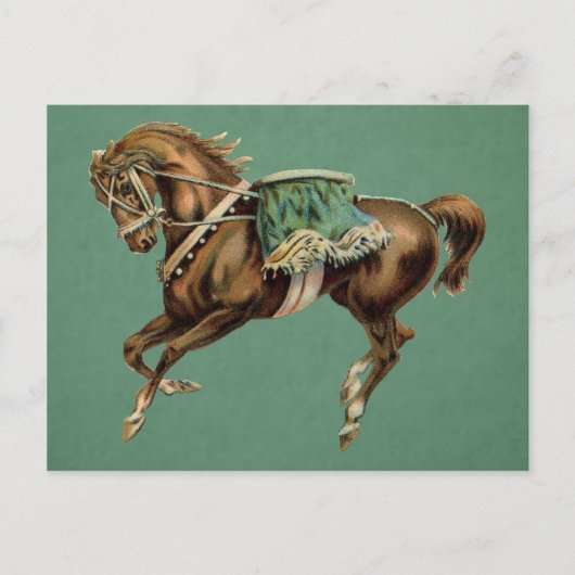 vintage circus horse briefkaart (Voorkant)