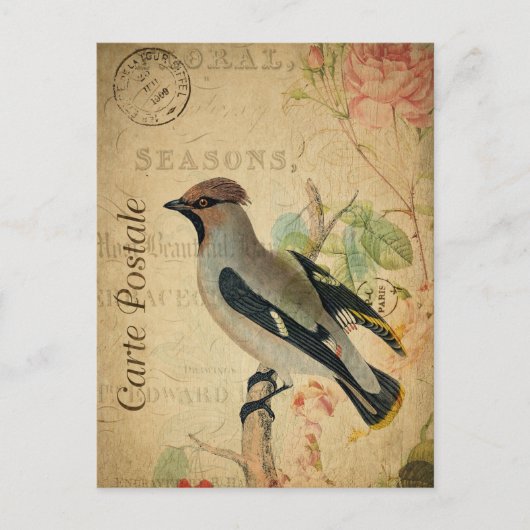 Vintage cire Bird Floral Carte française Postale (Devant)