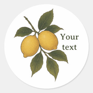 Vintage citroenen sticker, mediterrane citrus stic ronde sticker