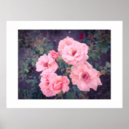 Vintage coral rose bouquet poster