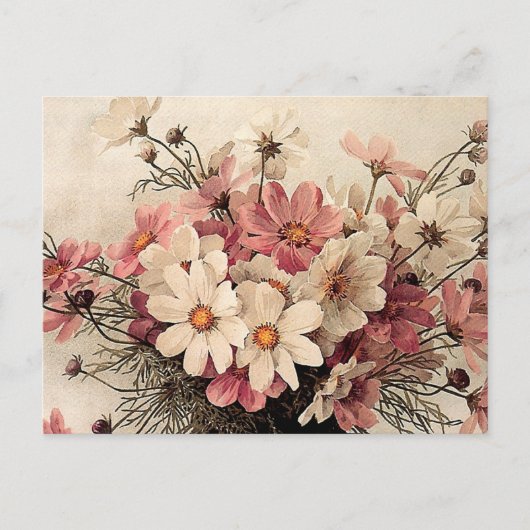 Vintage Cosmos Bouquet Briefkaart (Voorkant)