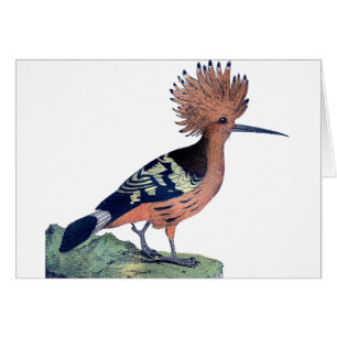 Vintage Crested Bird