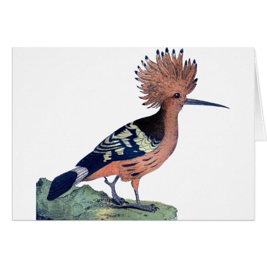 Vintage Crested Bird (Voorkant Horizontaal)