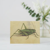 Vintage Cricket Insect Briefkaart (Staand voorkant)