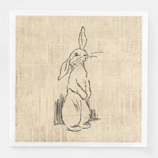 Vintage Cute Bunny Rabbit Art Script Background Servet (Voorkant)