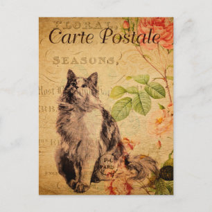 Vintage Cute Cat Floral Flowers Franse Briefkaart