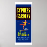 Vintage Cypress Gardens Florida Citrus Fruit Poste