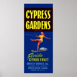 Vintage Cypress Gardens Florida Citrus Fruit Poster