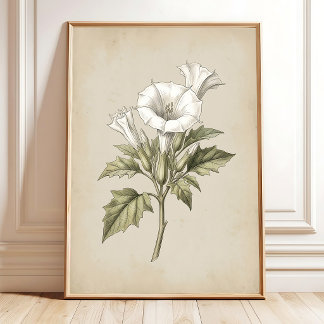 Vintage Datura Botanische Print Kunst