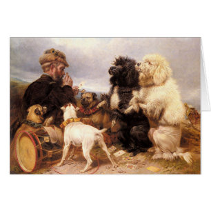 Vintage - De Lucky Dogs,