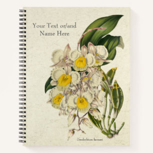 Vintage Dendrobium farmeri Orchidee Notitieboek