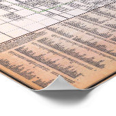 Vintage Detailed Chicago Map Poster 1882 (Coin)