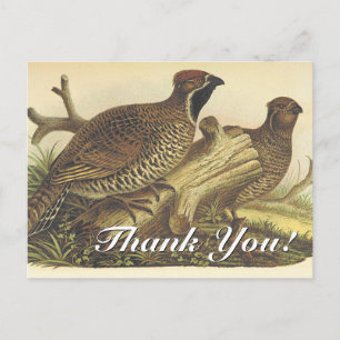 Vintage, Deux Oiseaux "Merci !" Carte postale