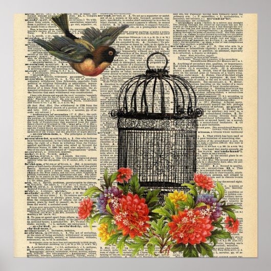 Vintage Dictionary Bird Cage Poster (Voorkant)