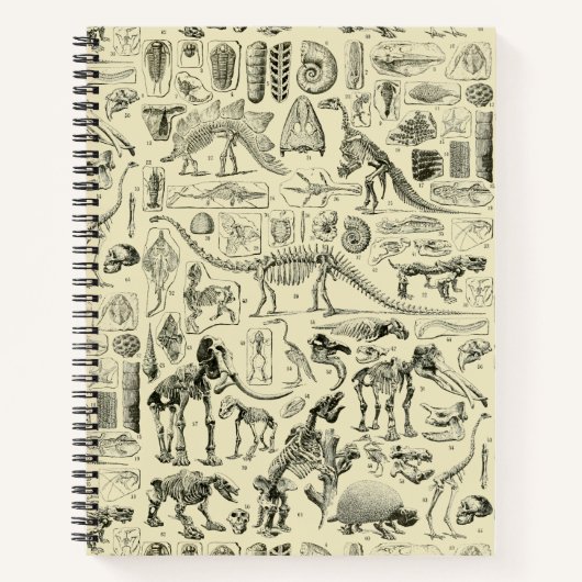 Vintage Dinosaur Bone Fossils Art Notitieboek (Voorkant)