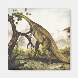 Vintage Dinosaurus, Plateosaurus Grazing op bomen Magneet
