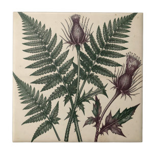Vintage Distel en Varens Botanisch Tegeltje