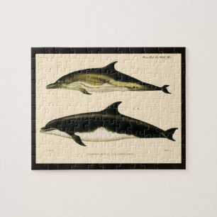 Vintage dolfijnen, zeezoogdieren dieren  legpuzzel