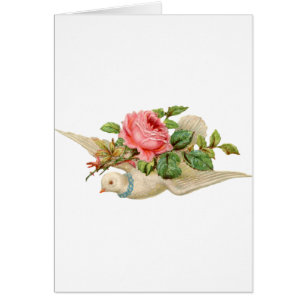 Vintage Dove et Rose