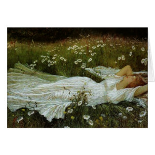 Vintage - Drêver dans un champ de marguerites,