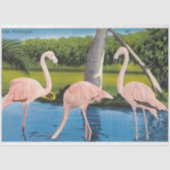 Vintage drie flamingo's tissuepapier (Voorkant)