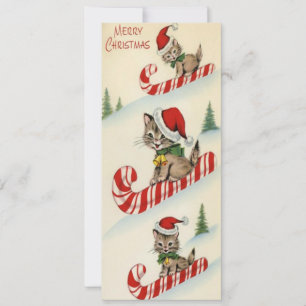 Vintage Drie Schattige Kittens op Snoep Can