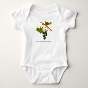 Vintage druiven baby romper