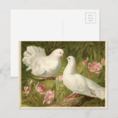 Vintage Easter White Doves Feestdagenkaart (Voorkant / Achterkant)