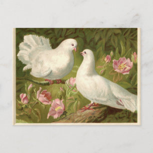 Vintage Easter White Doves Feestdagenkaart