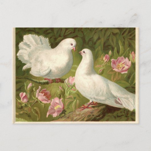 Vintage Easter White Doves Feestdagenkaart (Voorkant)