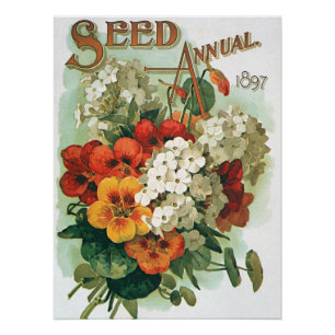 Vintage Eastman's Seed Catalog Hoesje Art, 1897 Perfect Poster