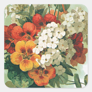 Vintage Eastman's Seed Catalog Hoesje Art, 1897 Vierkante Sticker