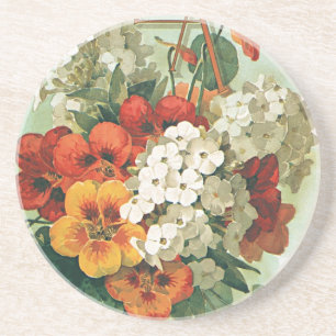 Vintage Eastman's Seed Catalog Hoesje Art, 1897 Zandsteen Onderzetter