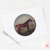 Vintage Equestrian Stickers (Enveloppe)