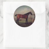 Vintage Equestrian Stickers (Sac)