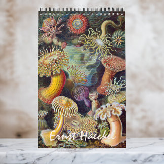 Vintage Ernst Haeckel, Biologie, Plantkunde, Weten Kalender