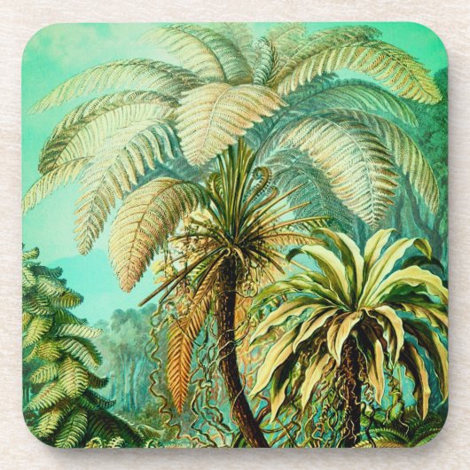 Vintage Ernst Haeckel Botanische Palms Onderzetter (Voorkant)