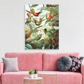 Vintage Ernst Haeckel Hummingbird Canvas Afdruk (Insitu (Woonkamer))