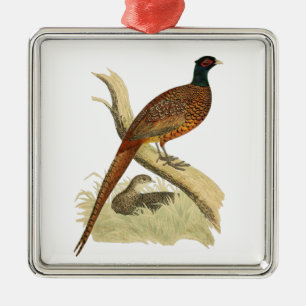 Vintage Fazant op Tak Jachtvogel Tekening Kleur Metalen Ornament