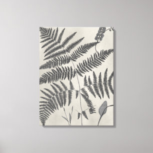 Vintage Ferns Canvas Afdruk