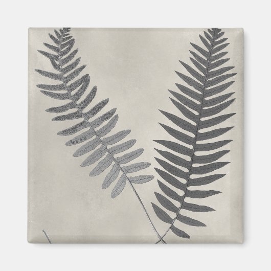 Vintage Ferns Magneet (Voorkant)