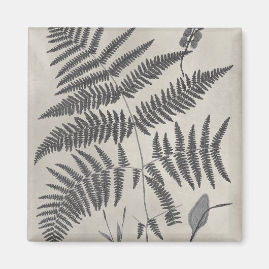 Vintage Ferns Magneet (Voorkant)