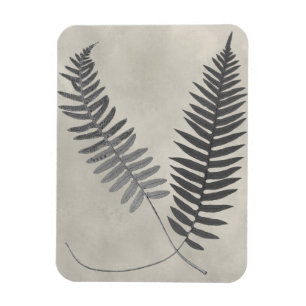 Vintage Ferns Magneet