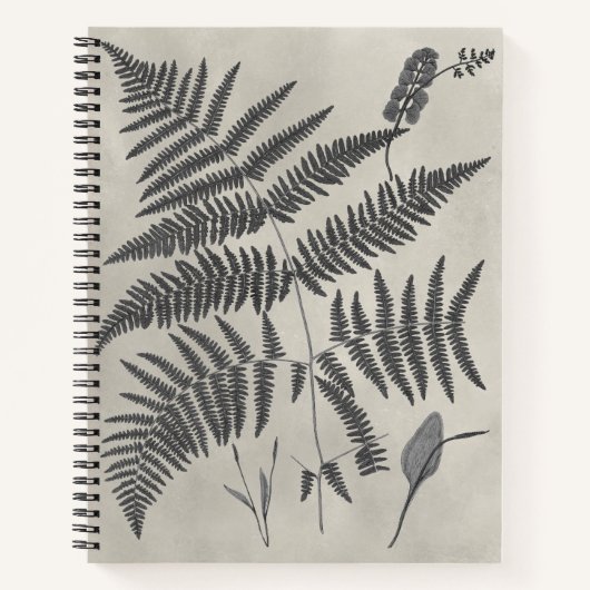 Vintage Ferns Notitieboek (Voorkant)