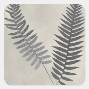 Vintage Ferns Vierkante Sticker
