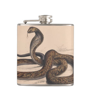 Vintage flacon de peinture de serpent de Cobra